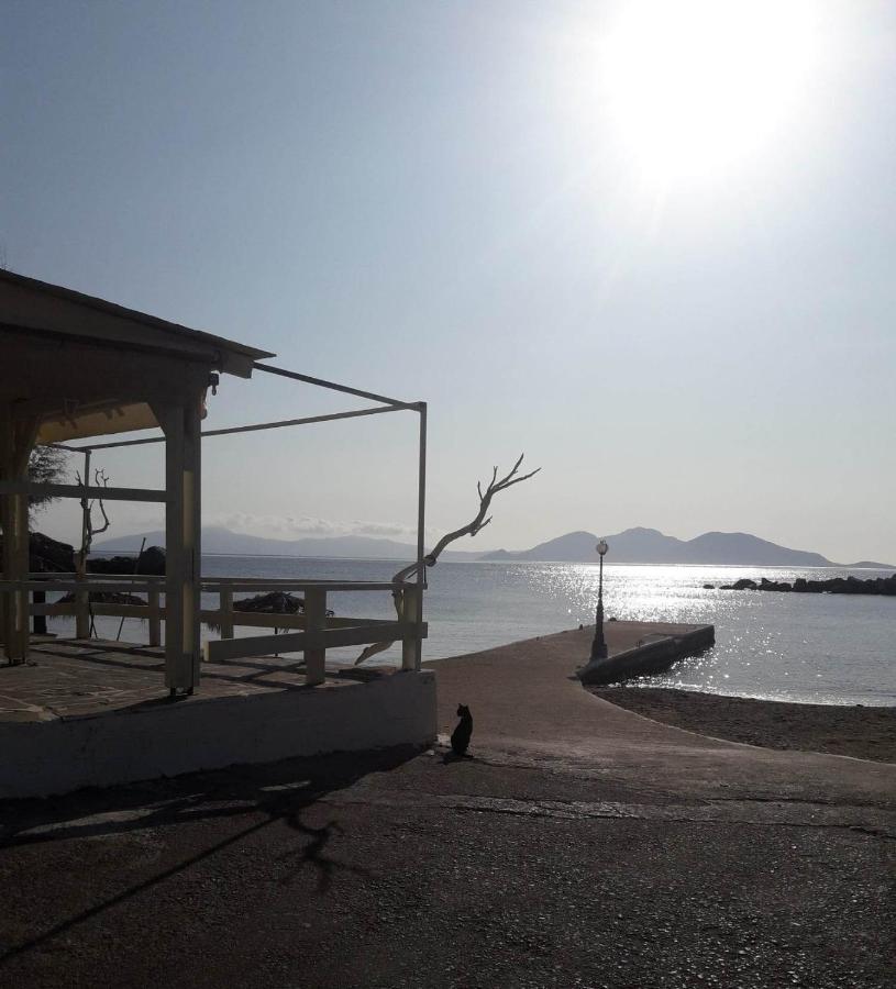 Hotel Rena Agios Kirykos  Luaran gambar